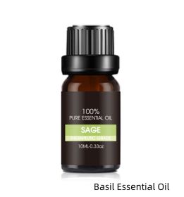 Organic Essential Oils Set Top Sale  Natural Therapeutic Grade Aromatherapy Oil Gift Kit For Diffuser (Option: Basil Essential Oil)